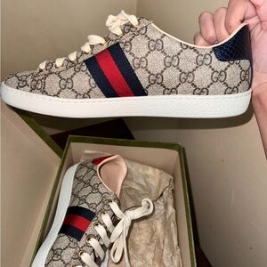 Gucci Beige and Navy Sneakers